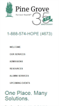 Mobile Screenshot of pinegrovetreatment.com
