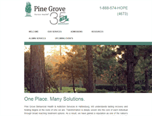 Tablet Screenshot of pinegrovetreatment.com